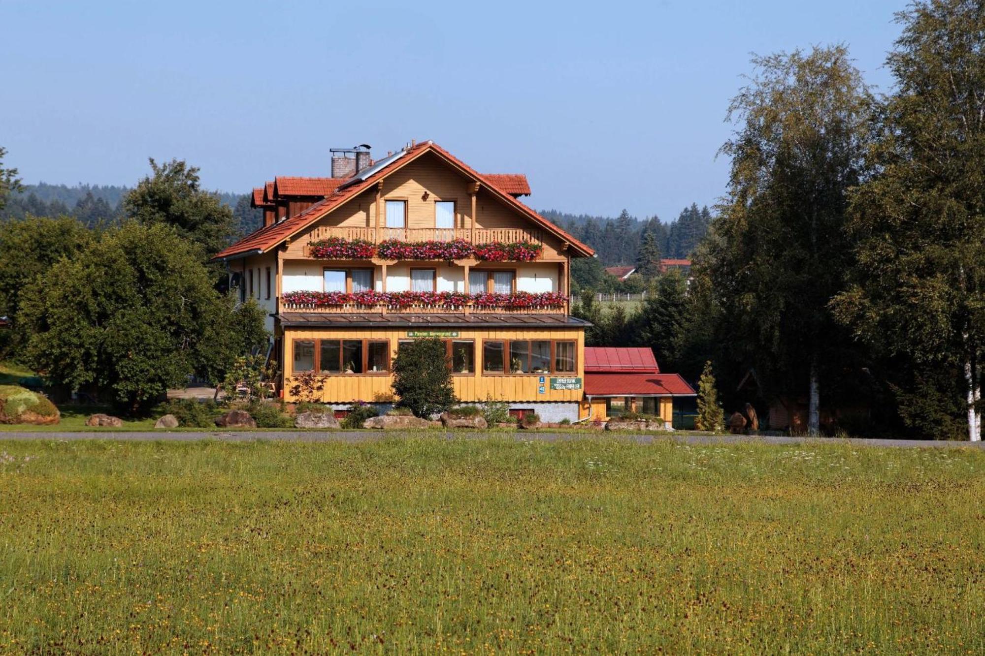 Pension Wiesengrund Neuschönau Εξωτερικό φωτογραφία